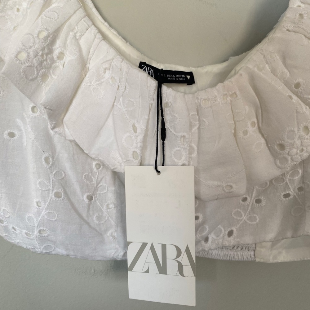 ZARA Embroidered Eyelet Crop Top - Picture 6 of 9